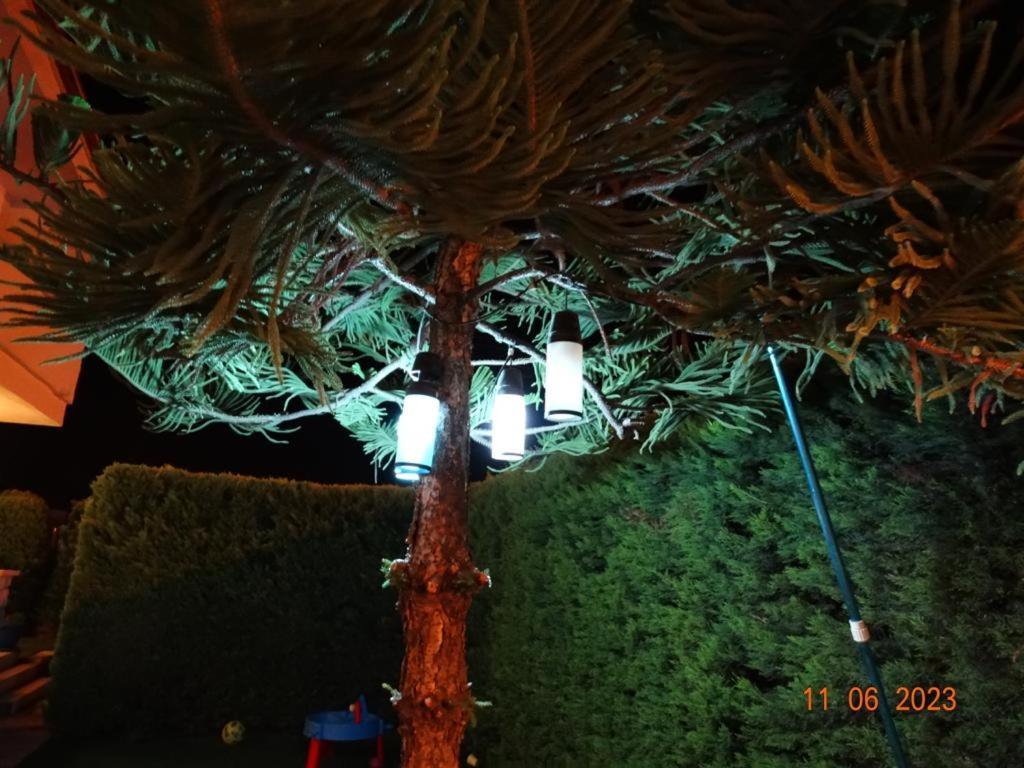 Surya Butik Hotell Alaçatı Exteriör bild